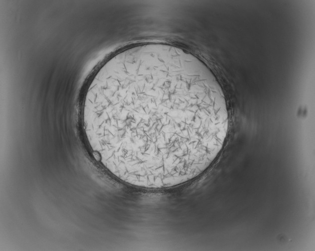 X0000111150342200907211208