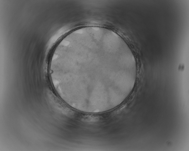 X0000111150343200907211208