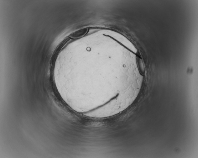 X0000111150344200907211208