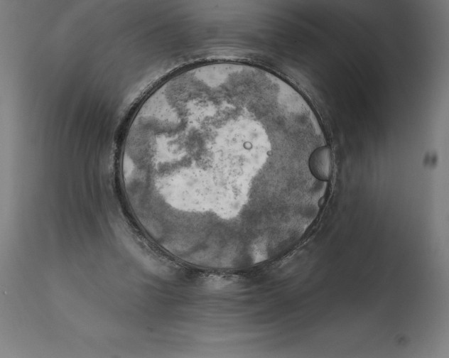 X0000111150346200907211208