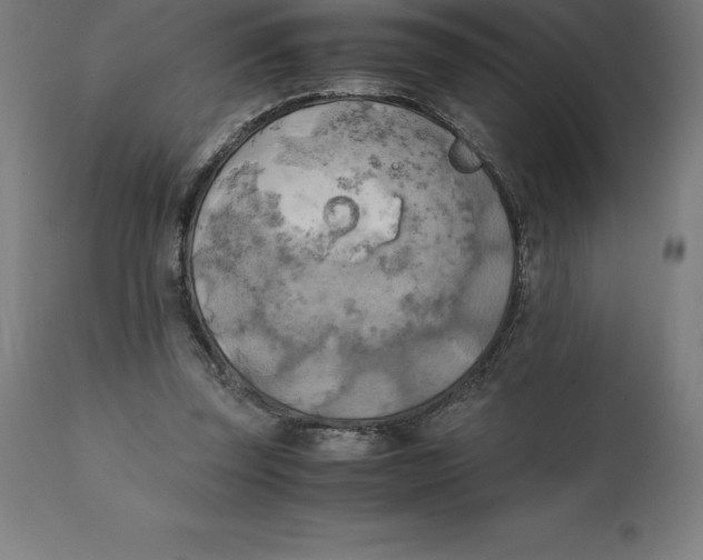 X0000111150347200907211208