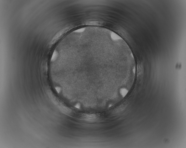 X0000111150349200907211208