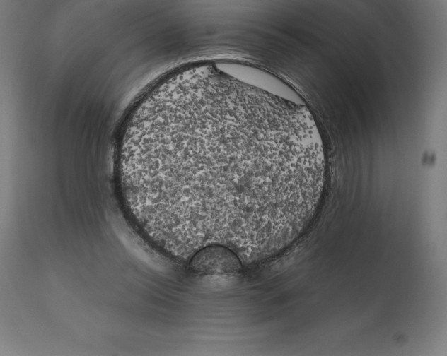 X0000111150350200907211208