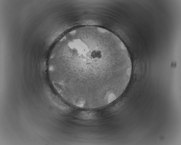 X0000111150351200907211208