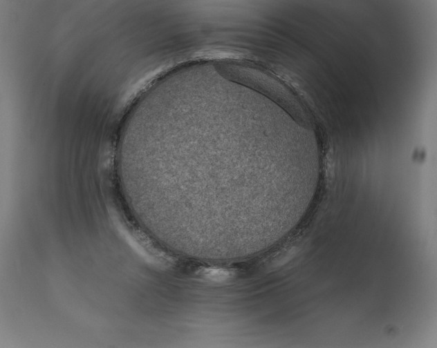 X0000111150352200907211208