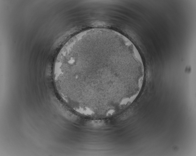 X0000111150353200907211208