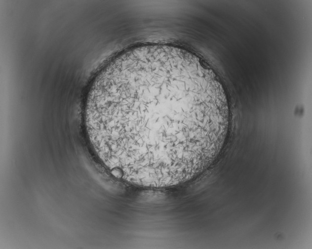 X0000111150354200907211208