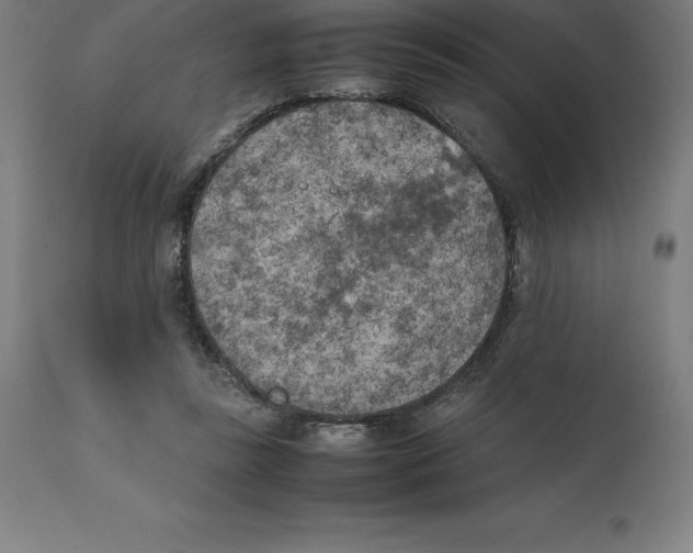 X0000111150355200907211208