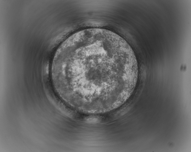 X0000111150358200907211208