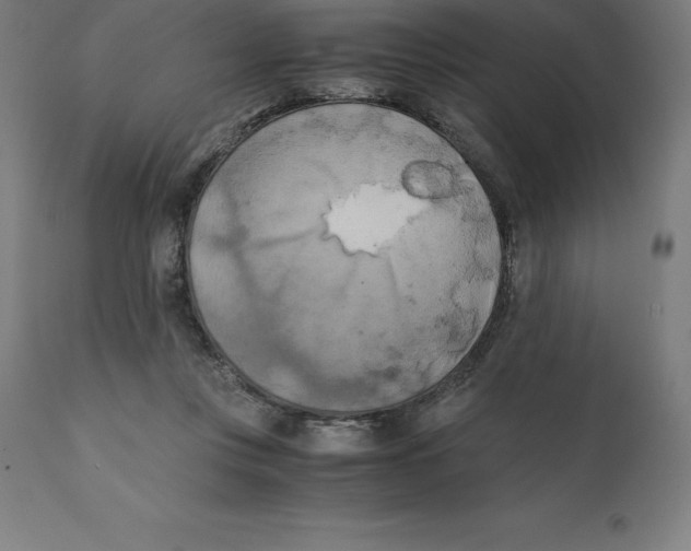 X0000111150359200907211209