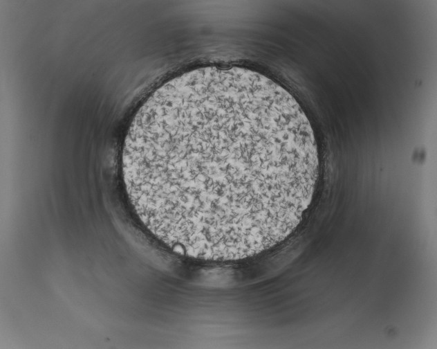 X0000111150362200907211209