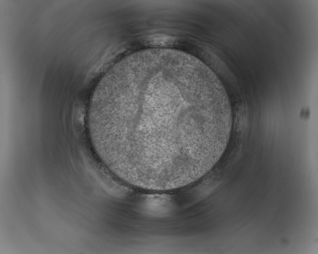 X0000111150363200907211209