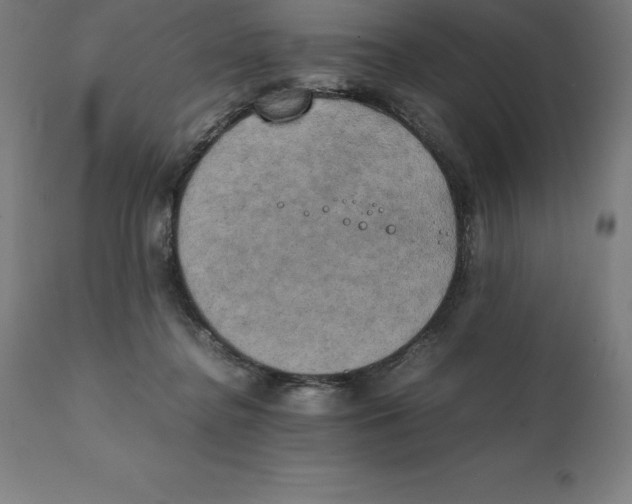 X0000111150364200907211209