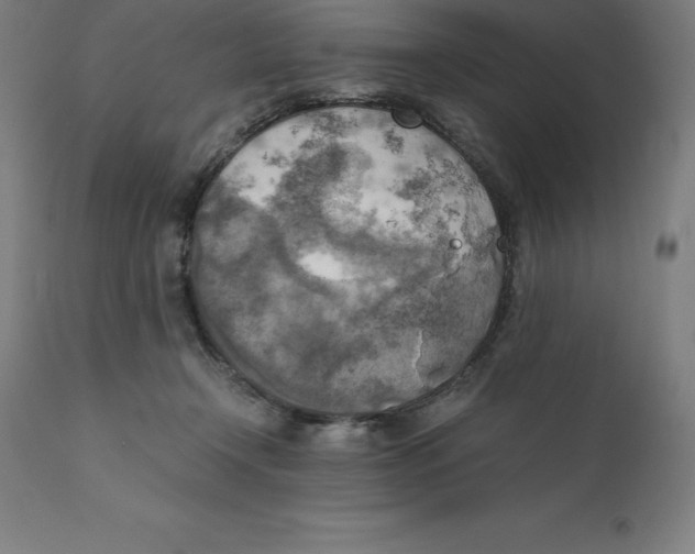 X0000111150366200907211209