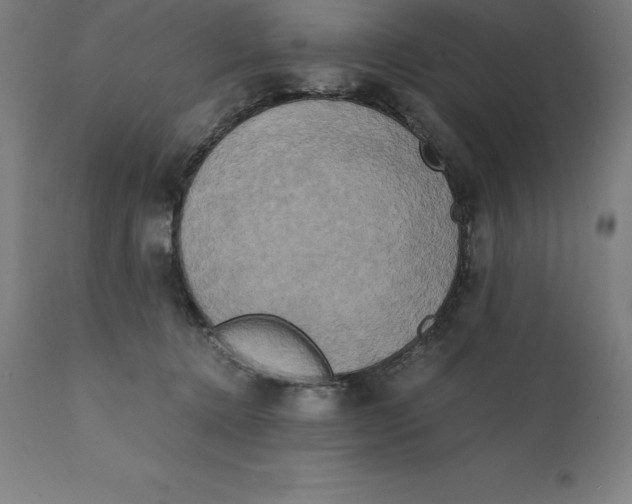 X0000111150368200907211209