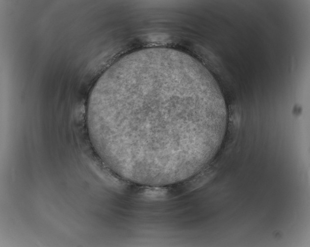 X0000111150369200907211209