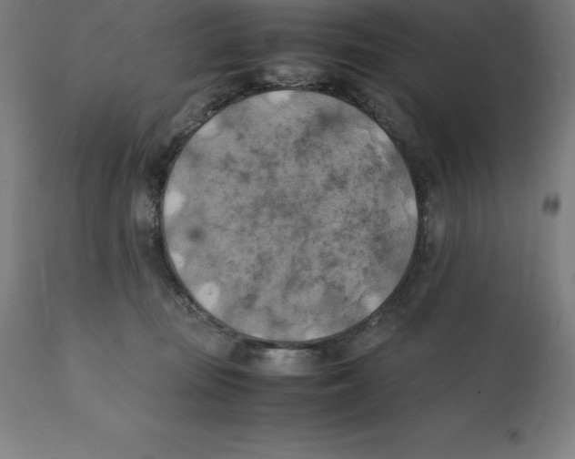 X0000111150371200907211209