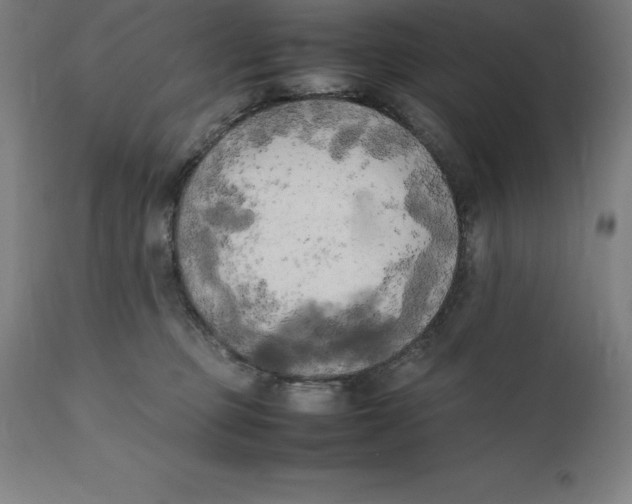 X0000111150373200907211209