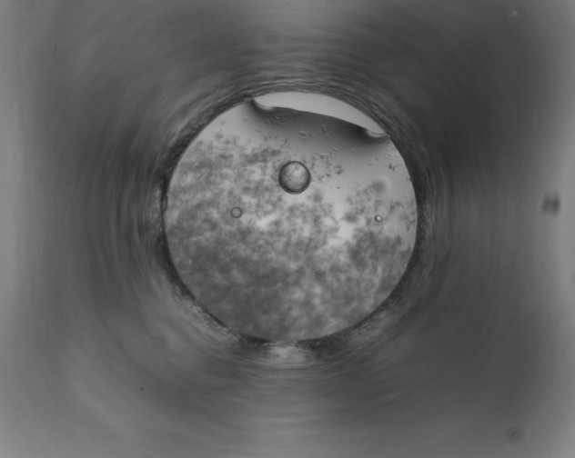 X0000111150376200907211209