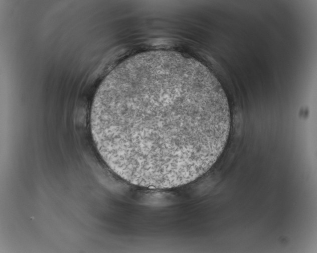 X0000111150379200907211209