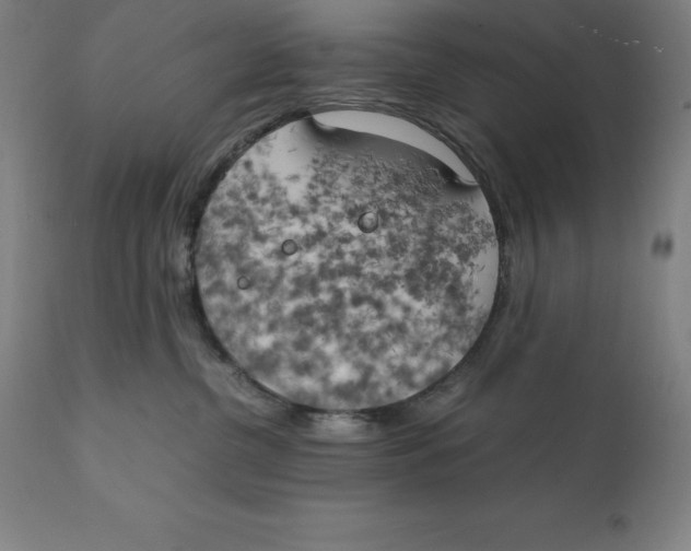 X0000111150380200907211209