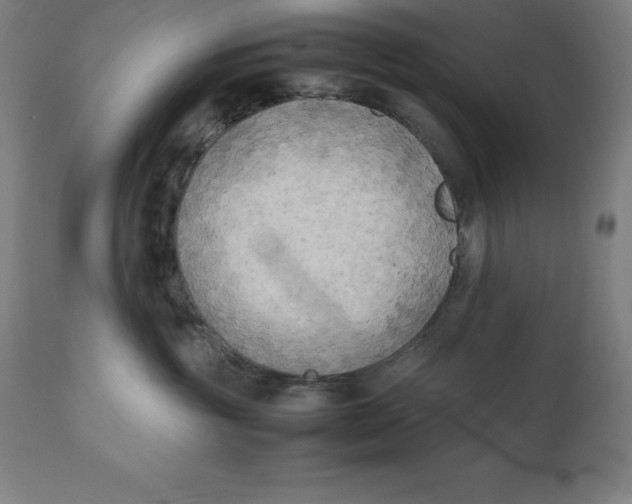 X0000111150381200907211209