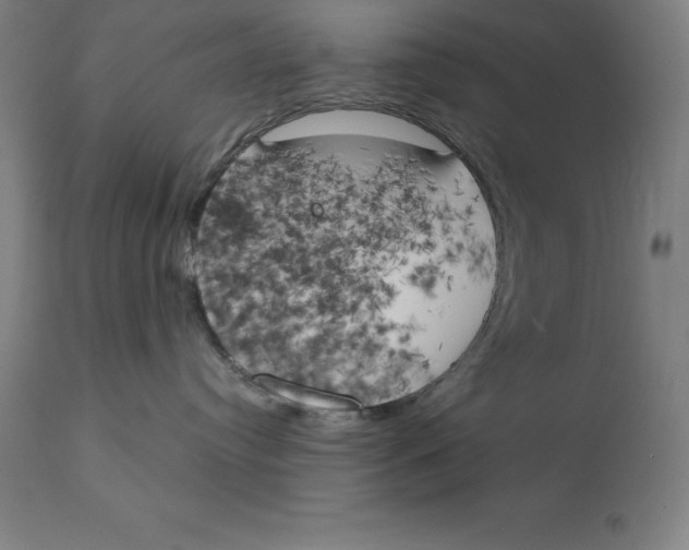 X0000111150384200907211209