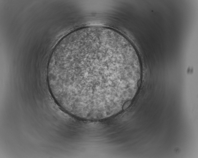 X0000111150385200907211208