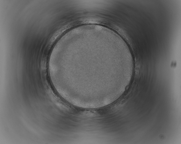 X0000111150386200907211208