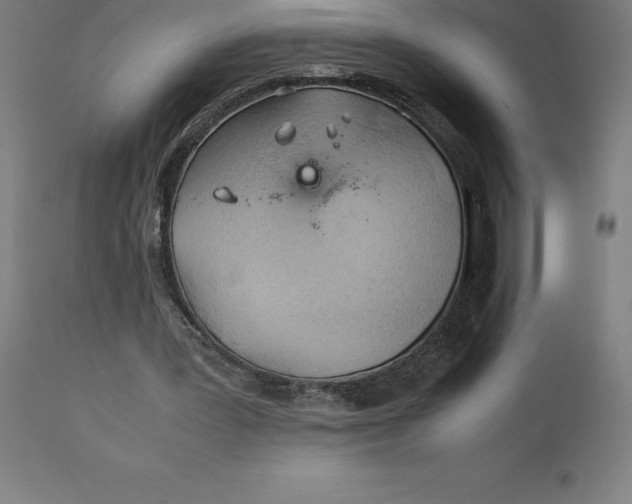 X0000111150387200907211208