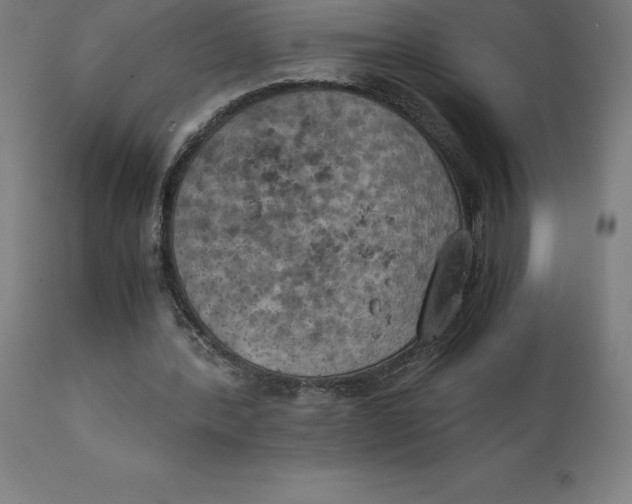 X0000111150388200907211208