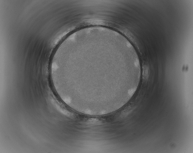 X0000111150390200907211208