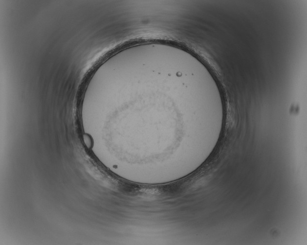 X0000111150391200907211208