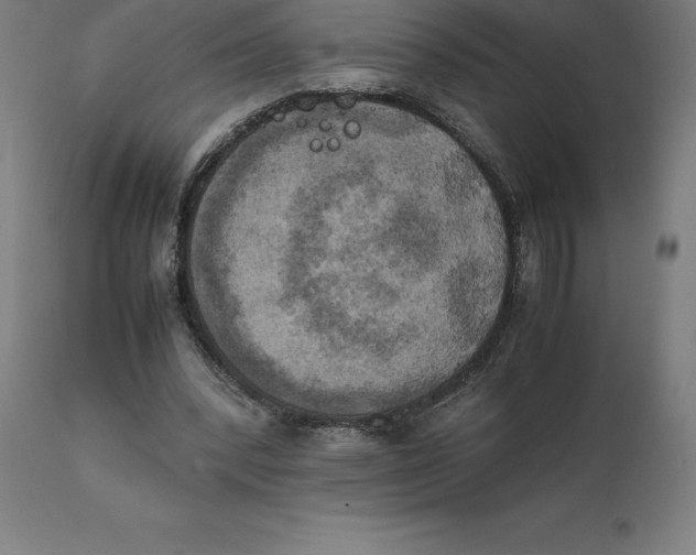 X0000111150392200907211208