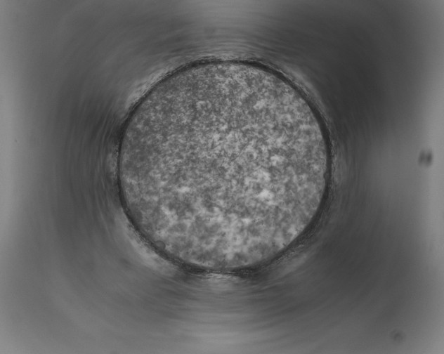 X0000111150393200907211208