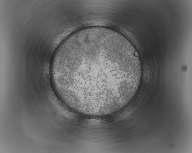 X0000111150394200907211208