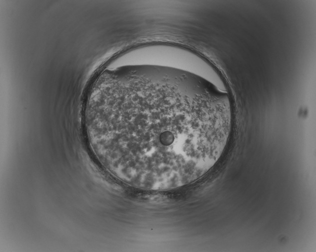 X0000111150395200907211208