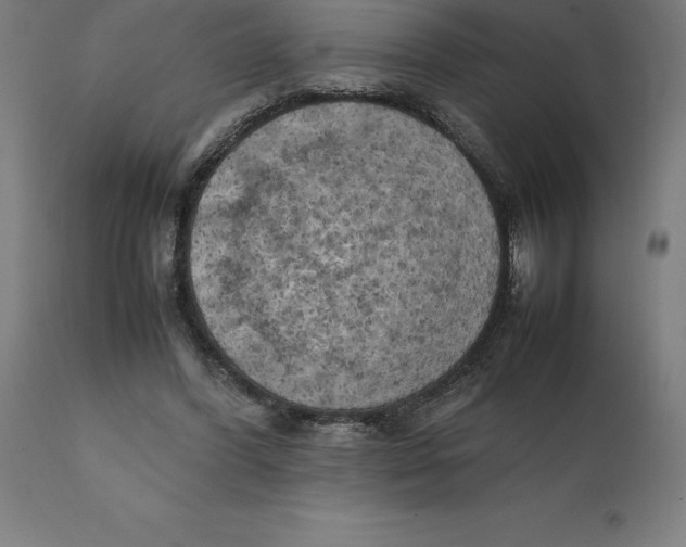 X0000111150396200907211208