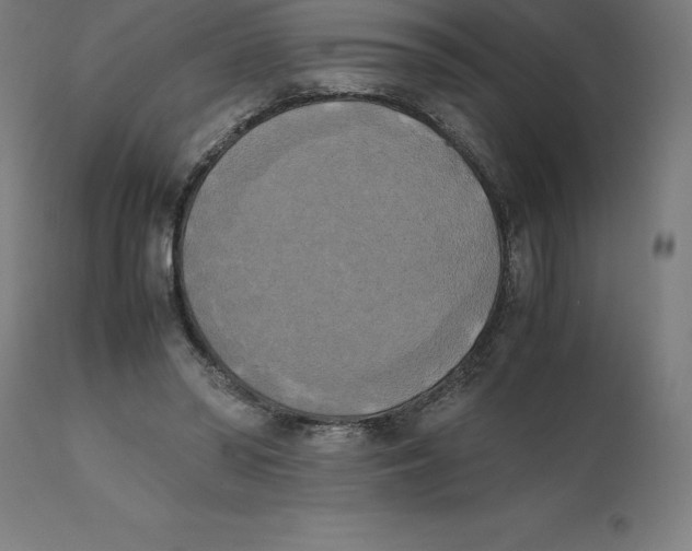 X0000111150398200907211208