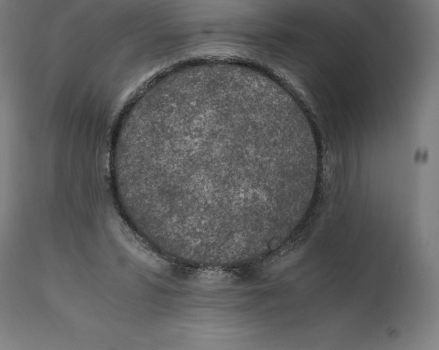 X0000111150399200907211208