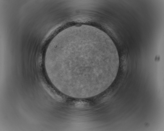 X0000111150400200907211208