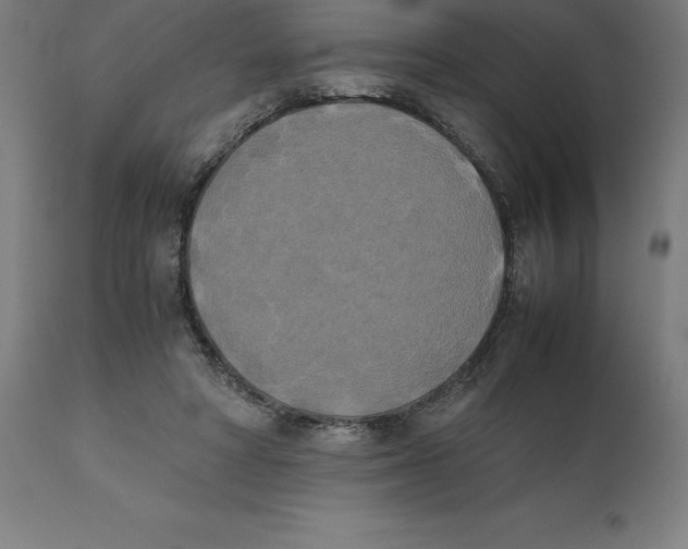 X0000111150402200907211208