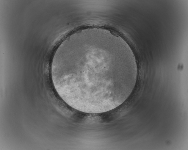 X0000111150403200907211208