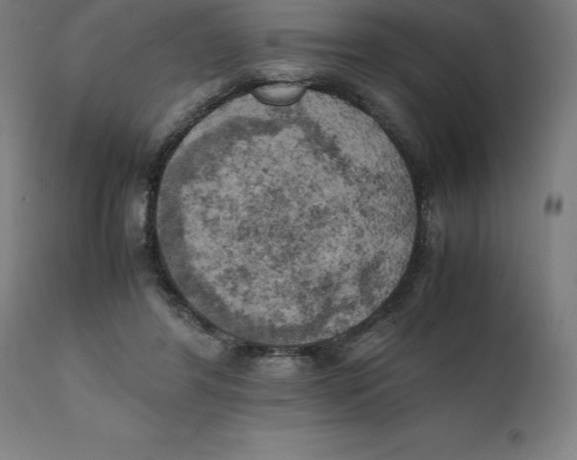 X0000111150404200907211208