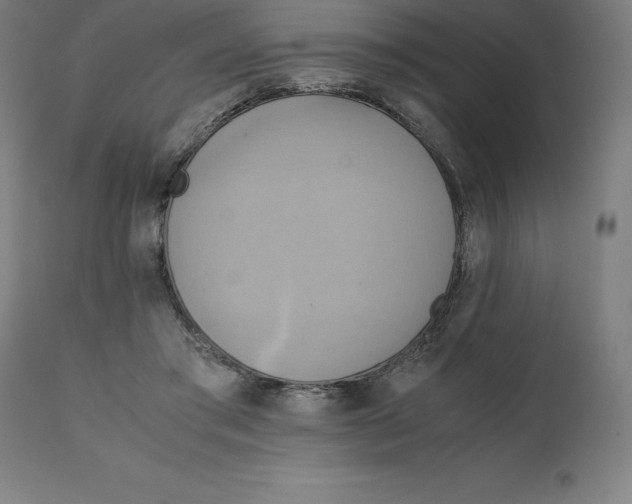 X0000111150405200907211208