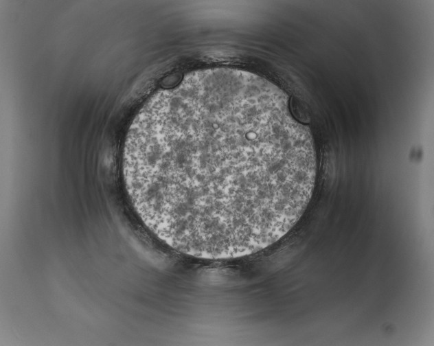 X0000111150408200907211208