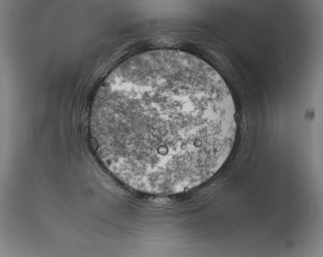 X0000111150409200907211208