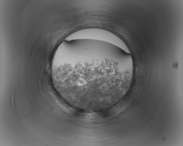 X0000111150411200907211208