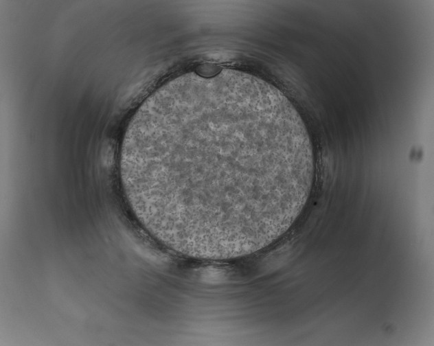 X0000111150412200907211208