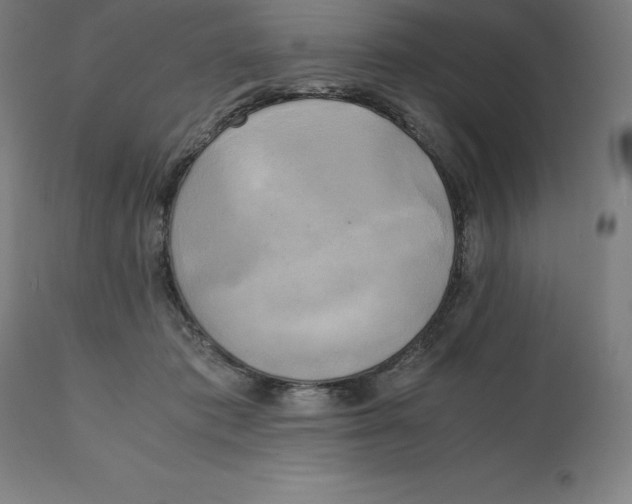 X0000111150413200907211208